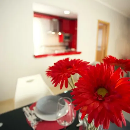 Apartment Modern, Comfortable & Bright *